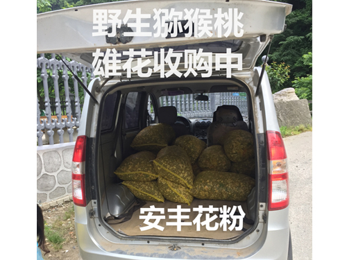 獼猴桃花粉 (4)