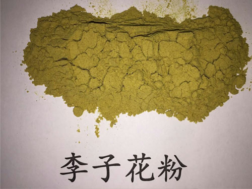 李子花粉2