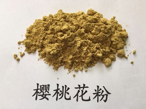 櫻桃花粉 (4)
