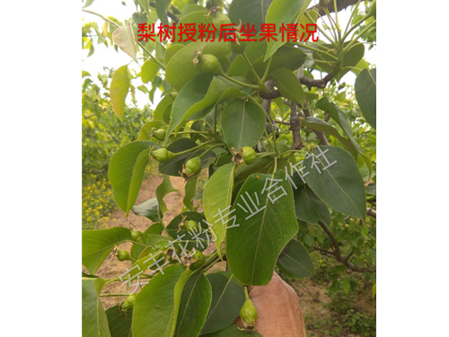 客戶反饋情況 (8)