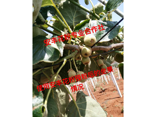 客戶反饋情況 (5)