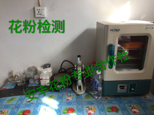 花粉檢測3