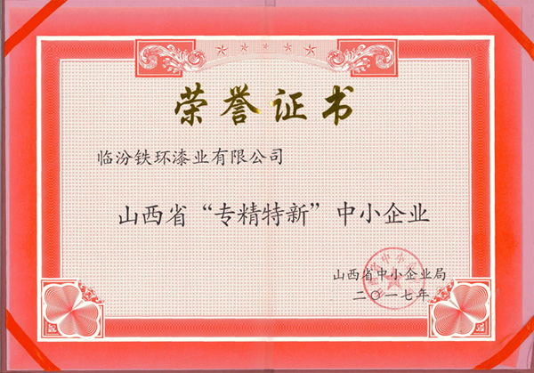 Qualifications and Honors (2)