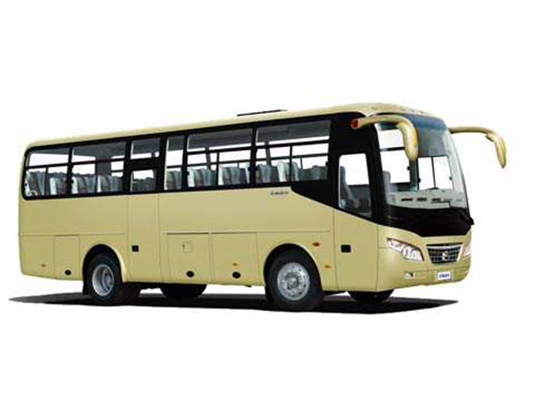 金龙 宇通豪华大巴37---55座