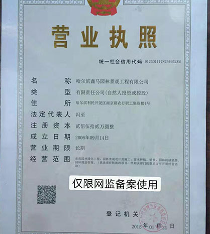 荣誉展示
