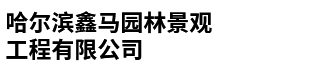 二级页logo