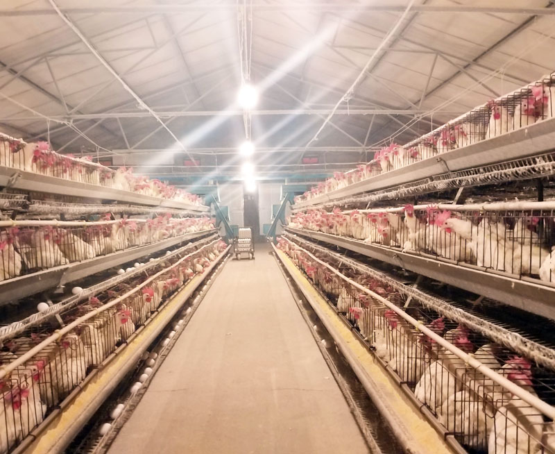 山西惠鑫铭农牧股份有限公司年存栏30万只蛋鸡养殖扩建项目 环境影响评价公示