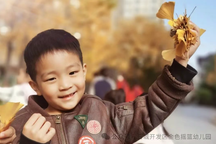 深秋的礼物 落叶的艺术