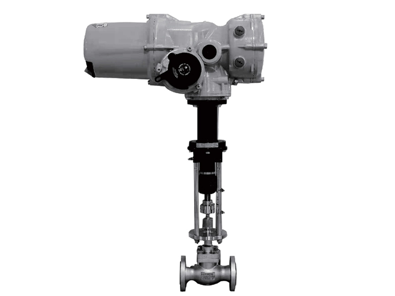 Cryogenic Fuel Marine Application -MNS