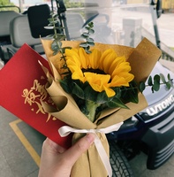 女神节|在温暖中前行