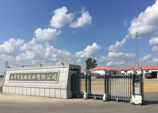 首页公司简介配图