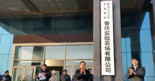 黑龍江香坊實驗農(nóng)場屋面防水工程