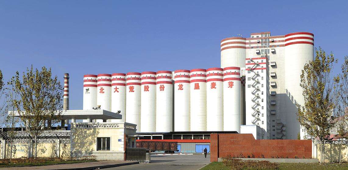 北大荒龍墾麥芽有限公司防水工程