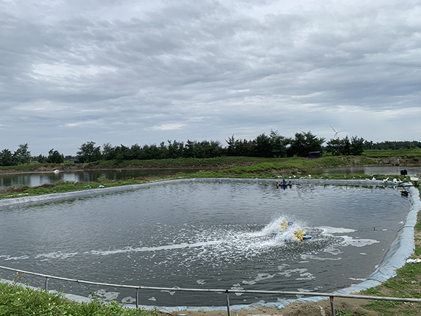 秋季池塘怎么管理？关注四个关键技术