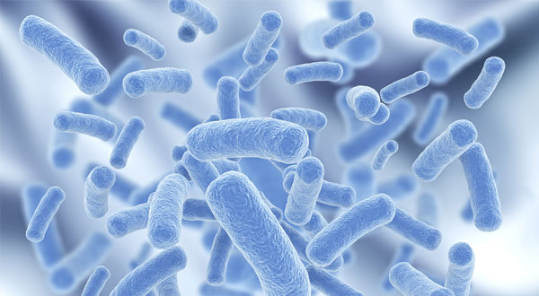 食品常见不合格项目小知识