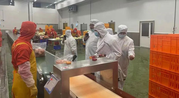 山东公司积极参加输韩泡菜HACCP强制性认证工作