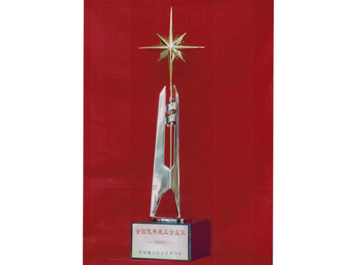 2002年度全国优秀施工企业家奖杯