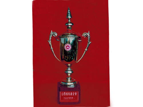 山西先进企业奖