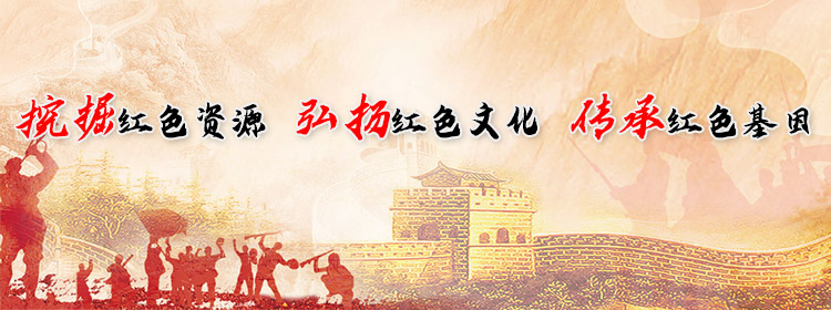 手机banner