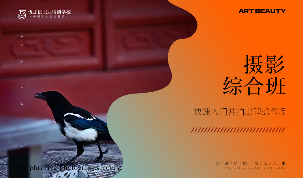 摄影综合