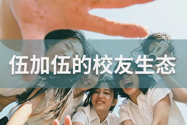 学完技能之后，真正帮你走远的不是技术，是这个