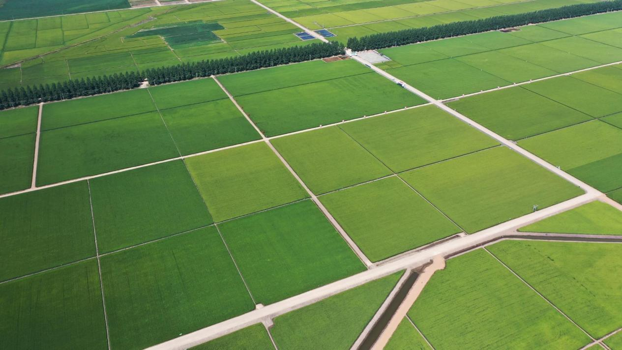 北大荒集团黑龙江八五四农场2025年高标准农田建设