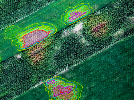 农业保险双精准项目
