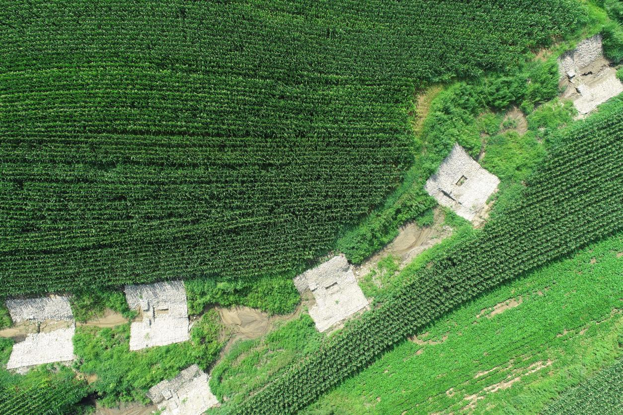 海伦市2024年侵蚀沟治理项目（永富镇、共合镇片区）