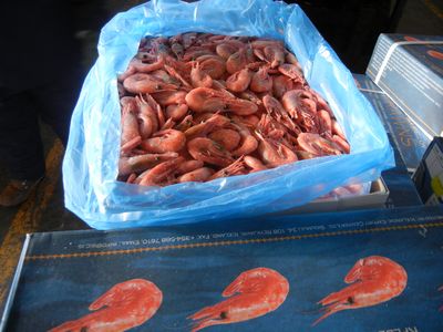 进口北极甜虾