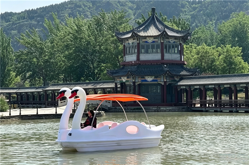 天鹅船