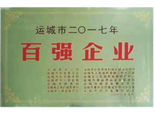 百强企业
