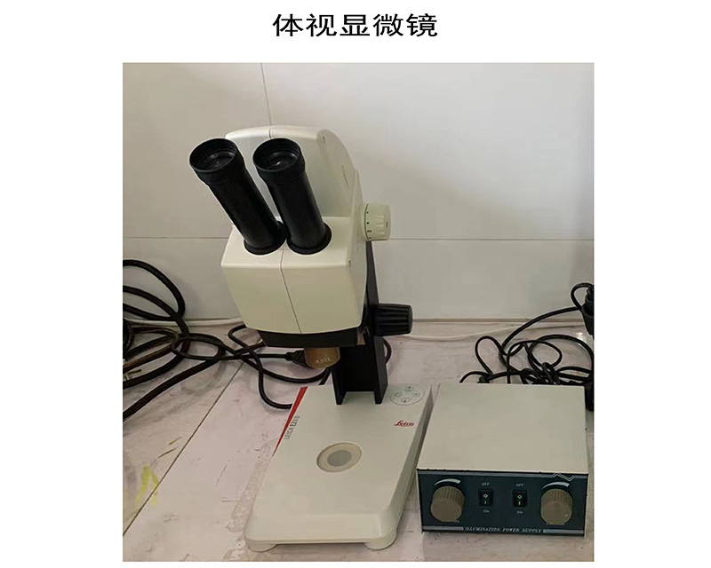 体视显微镜