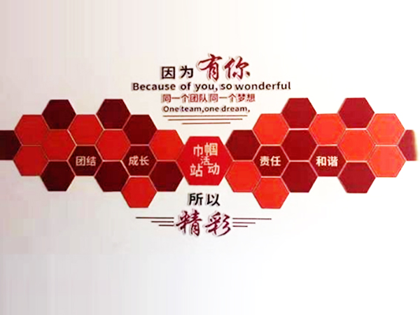 我的的风采