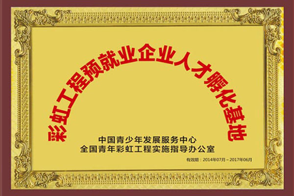 铜牌—彩虹工程预就业企业人才孵化基地