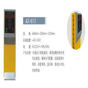 AX-613