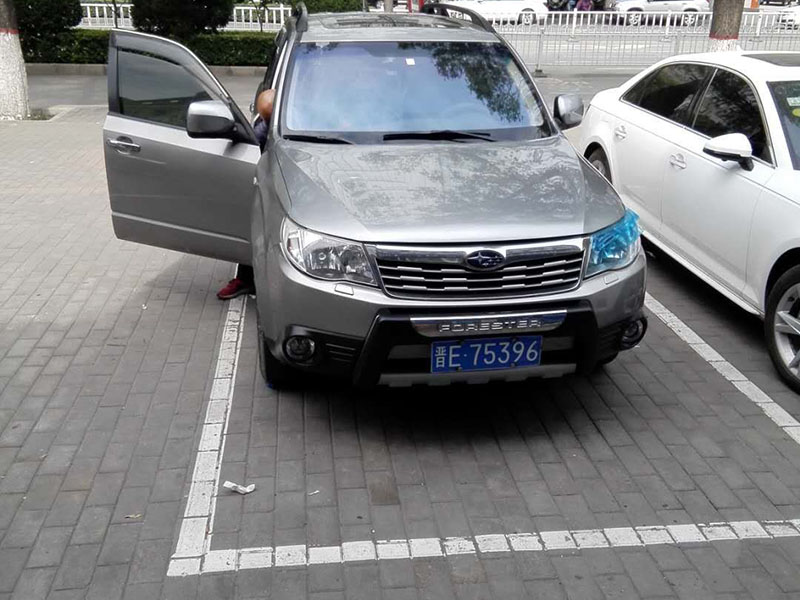 成功案例