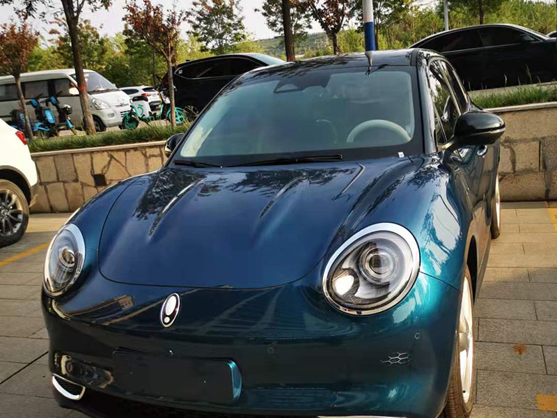 車(chē)衣改色