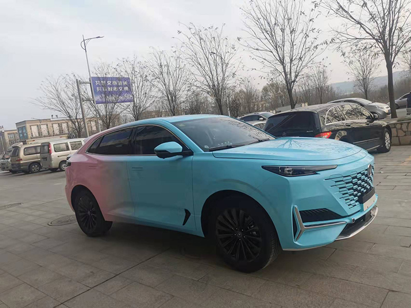 車(chē)衣改色