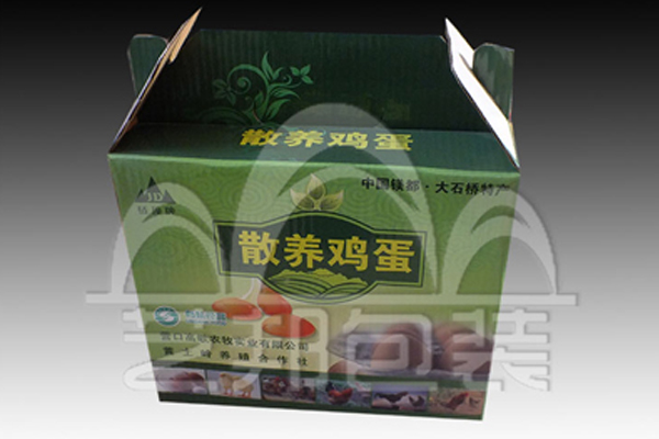 藝邦瓦楞彩箱包裝