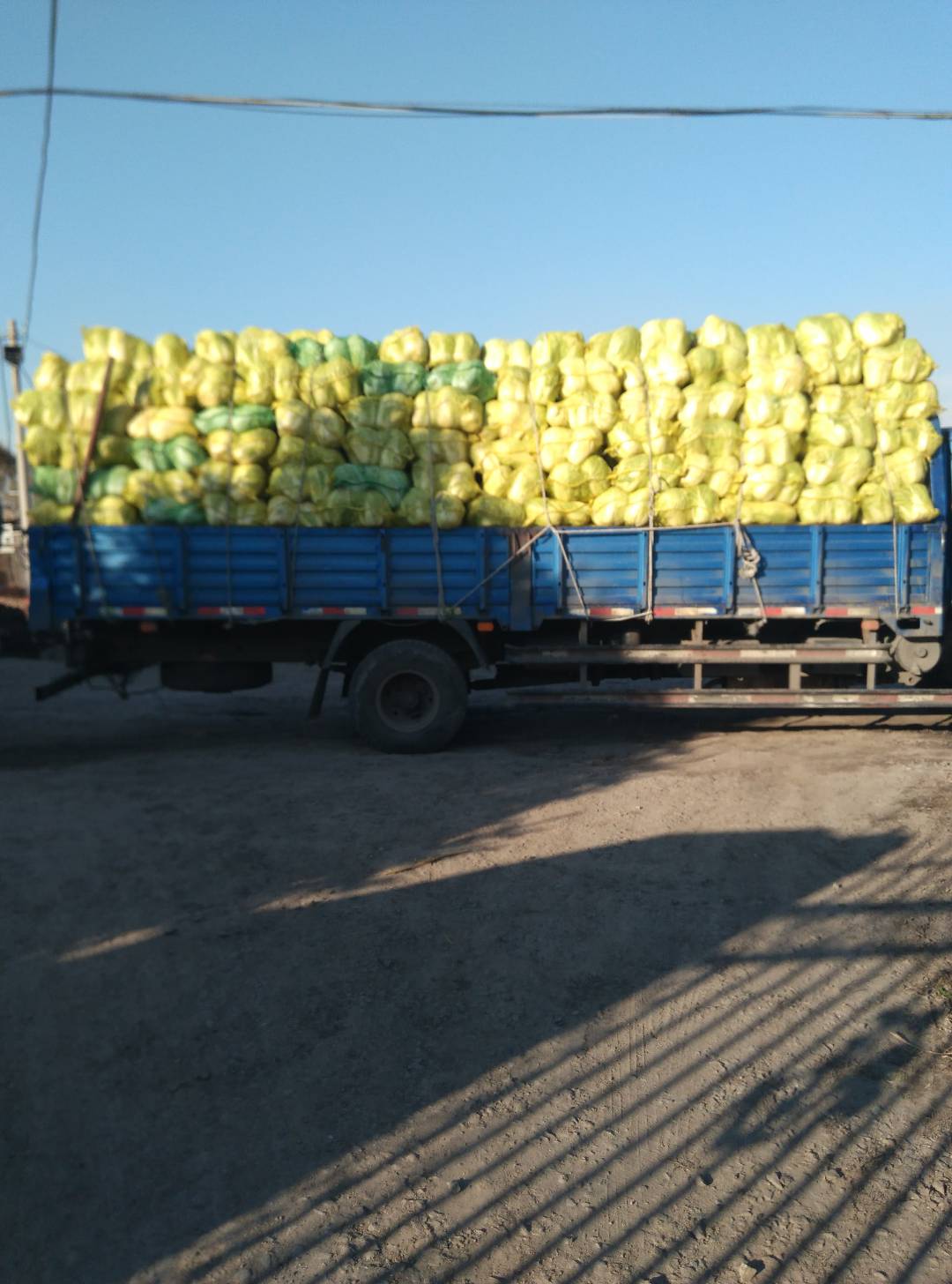 呼兰孟家酸菜厂 (4)