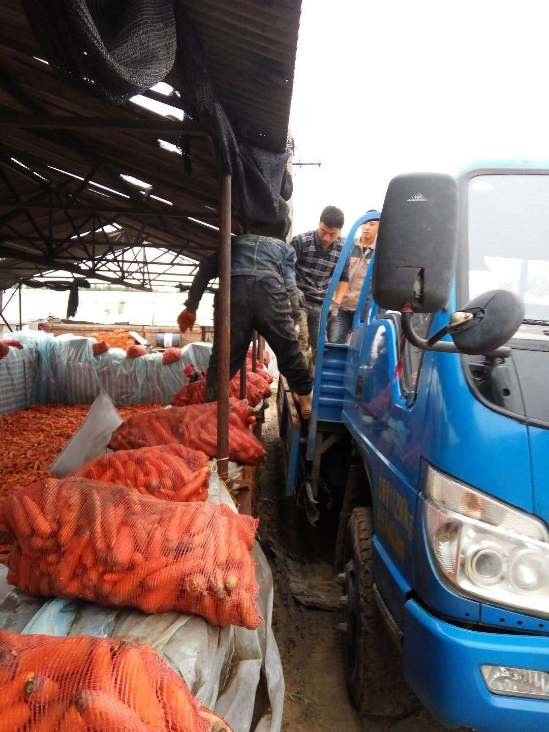 大庆丰华食品厂 (1)