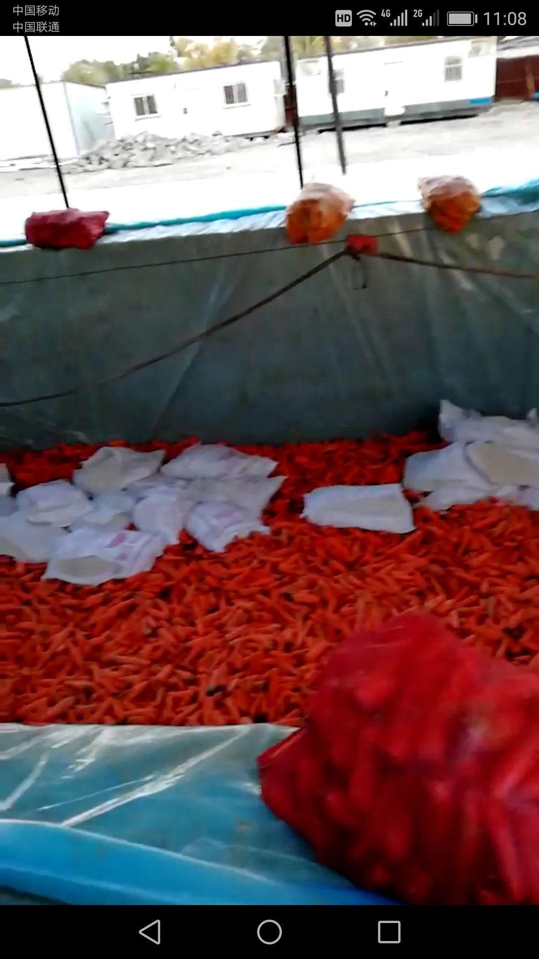 大庆丰华食品厂 (5)