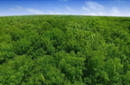 山西省轉型綠色低碳發展之路