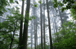 綠色金融: 在山西實施“雙碳”戰略中顯身手