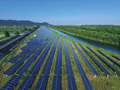 綠色咨詢及能力建設服務