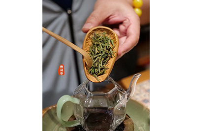 蒙顶黄芽
