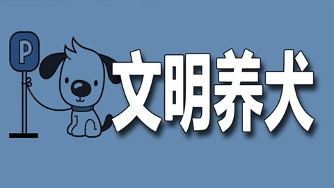 倡議哈爾濱養狗愛犬人士,作文明的養狗人,教育出文明的寵物.