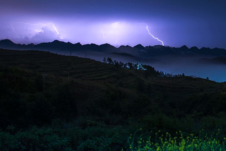 春雷一声响，万物齐生长