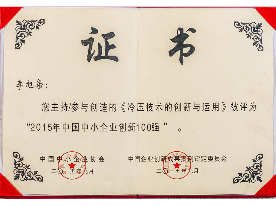 中国中小企业创新100强