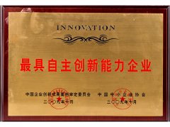 最具自主创新能力企业